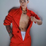 Dăn bii