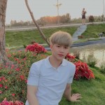 Hội 2